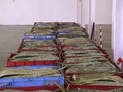 Zo komen de kratten vers binnen