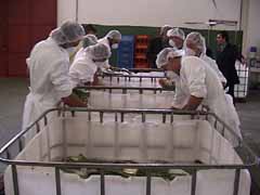 7 x wassen en spoelen