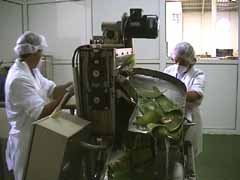 Met de hand, koud persen!